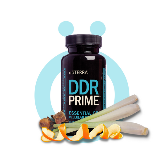 DDR Prime Cápsulas Blandas (DDR Prime Softgels)