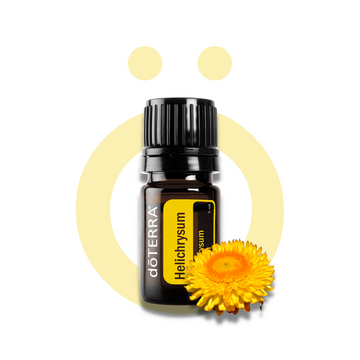 Helicriso (Helichrysum)