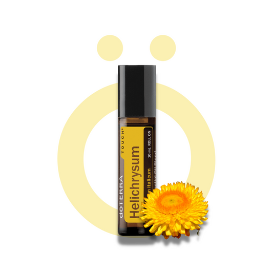 Helicriso (Helichrysum) Touch