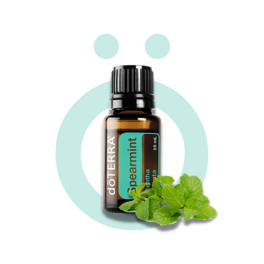 Hierbabuena (Spearmint)